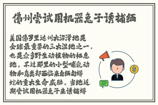 樱桃网站入口在线观看视频